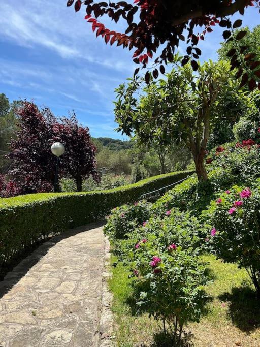Apartamento De Lujo Vergel Suite San Martín de Valdeiglesias المظهر الخارجي الصورة